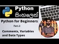 Python Comments Variables and Data Types - Python for Beginners Sinhala