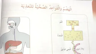 الهضم و القواعد الصحية للتغذية صفحة 20 و 21 كتاب التربية العلمية للسنة الرابعة ابتدائي  الهضم و القواعد الصحية للتغذية صفحة 20 و 21 كتاب التربية العلمية للسنة الرابعة ابتدائي