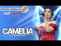 Download Lagu CAMELIA - Tasya Rosmala Adella || OM ADELLA LIVE KWANYAR BANGKALAN