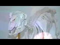 Sheep Skeleton