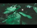 Nya Gyedie - Nana Adomako Nyamekye