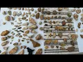 All New Bird Effigies Painted Stone Artifacts From Ancient North Carolina