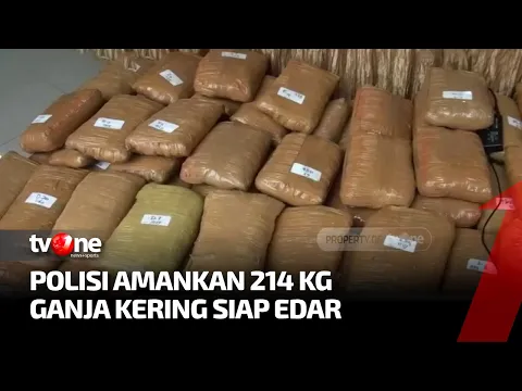 Peredaran 214 Kg Ganja Jaringan Sumatera Digagalkan Polisi