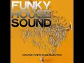 Deep Down (Trumpet Mix) - Funk Town