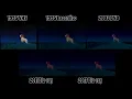 Download Lagu The Lion King - VHS, Laserdisc, DVD, \u0026 Blu-ray Comparison