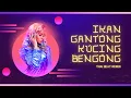 Download Lagu DJ Remix IKAN GANTUNG KUCING BENGONG