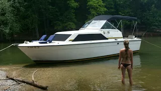 Fast Wax Review- Does It WORK?