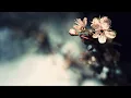 Aqualung - Strange and Beautiful (I'll Put a Spell On You)