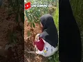 Download Lagu Adek adek cinta tidak selamanya indah dek 🤣#shorts #videolucushorts #ngakak #funny #hiburan