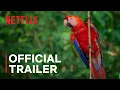 Lagu Life in Color with David Attenborough | Official Trailer | Netflix