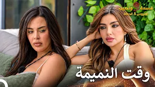 حديث الصبايا حول الأحداث الأخيرة   العروس والحماة الحلقة                       العروس   الحماة دندنها