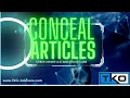 Conceal Remove unwanted chatter online Delete or Conceal Mugshots Articles Fake News TKO ADVISORS