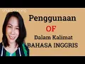 Penggunaan \