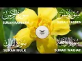 Download Lagu Surah Yaseen ❤️ Surah Rahman ❤️ Surah Mulk ❤️ Surah Waqiah Beautiful Voice ❤️ Heart Soothing