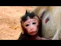 THANK MOM ! Newborn Soriya say to mom Thanks For Milk | Soriya get Milk Fully in a day.
