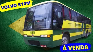 EX EXPRESSO BRASILEIRO LEGÍTIMO À VENDA!!  #viagemdevolta