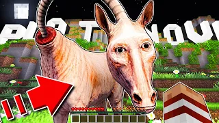 ENCONTRÉ A LONG HORSE EN MINECRAFT