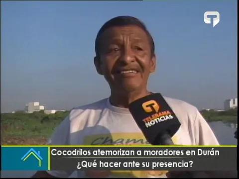 Cocodrilos atemorizan a moradores en Durán ¿Qué hacer ante su presencia?