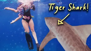 UNEXPECTED visitor during our 2 year olds FIRST SNORKEL (Open Water 😱)