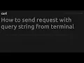 How to send request with query string from terminal