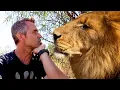 Download Lagu LEEUW Wandeling met de Kattenkruidkoning | De Leeuwenfluisteraar