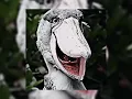 h6itam - FUNK OSCURO - (super slowed) Edit Video