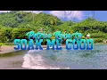 Patrice Roberts - Soak Me Good "2020 Soca" | Jackson Bay Project