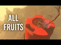 Baby Steps ALL FRUITS guide