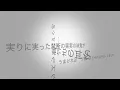CHEHON「韻波句徒 from THE FIRST TAKE」