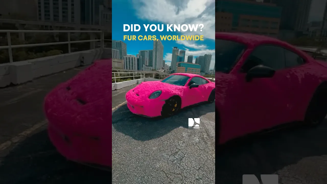 DocuSphere Fur Cars