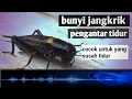 Download Lagu FULL ORIGINAL suara jangkrik pengantar tidur