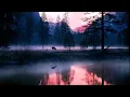 Carbon Based Lifeforms  Photosynthesis (Astronaut remix)