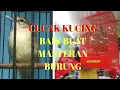 Download Lagu CUCAK KUCING BAIK BUAT MASTERAN BURUNG LOMBA