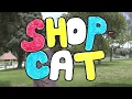 Townies - Shopcat (Official Music Video)