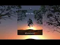 Equanimous & nok nok: Bumpin Bass Beatbox (Savej Remix)