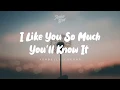Download Lagu I Like You So Much You'll Know It - Ysabelle Cuevas ( Lyrics )