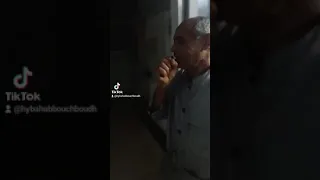 في عمري ربيت حمامة 