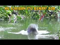 Lagu KE AJAIBAN ITU ADA !! Campuran lumut untuk mancing nila liar