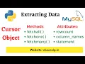 MySQL - Python connection fetchall fetchone fetchmany Class 12 Computer Science Hindi