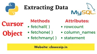 MySQL - Python connection fetchall fetchone fetchmany Class 12 Computer Science Hindi