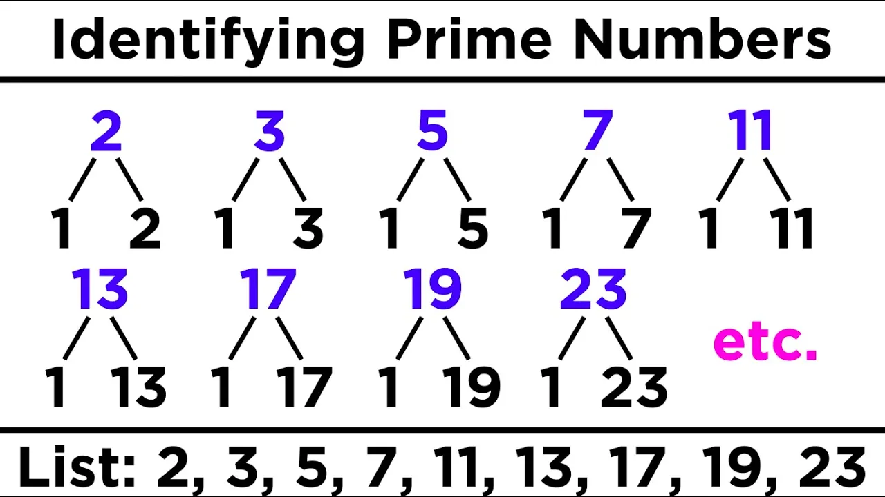 Divisibility, Prime Numbers, and Prime Factorization