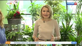 Скоро начнется традиционный сезон свадеб