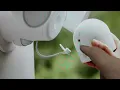 Hard Reset Nest Cam With Floodlight
