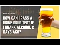 How Can I Pass A Urine Drug Test If I Drank Alcohol 2 Days Ago