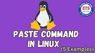 Paste Command in Linux with 5 Examples Ubuntu Command line Tutorial
