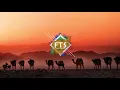 Alef - Sol