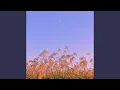 Download Lagu Dandelions (Lofi Remix)