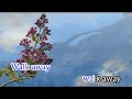 Download Lagu Waterloo \u0026 Robinson  《Walk Away》 karaoke   LR