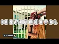 redveil - time [a dream deferred] (Instrumental)