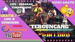 terguncang new pallapa terbaru new pallapa temanggung expo 2018